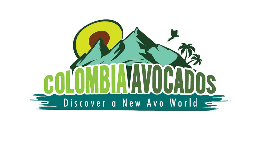 Colombia Avocados aguacate colombiano|Foto Manuel Michel